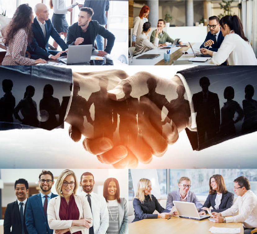 Hands holding fresh vegetables